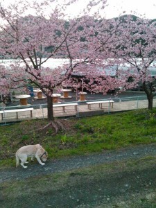 ろった２